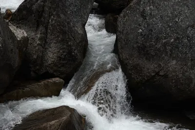 DSC_4695 (Large).JPG